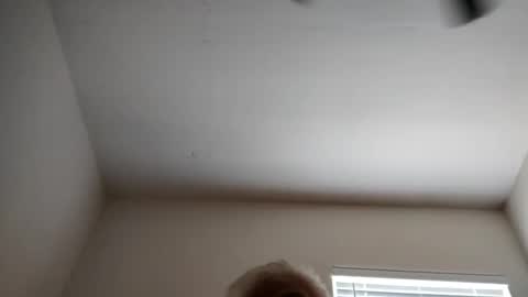 luv to cum online show from April 8, 8:45 pm