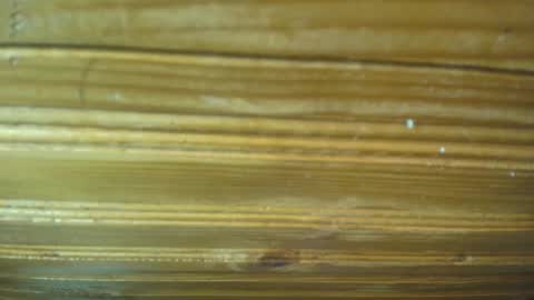 Carl the good girl online show from February 21, 11:33 am