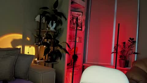 Sunshine online show from December 6, 7:37 am