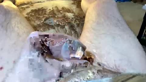 69rumbler online show from January 11, 9:59 am