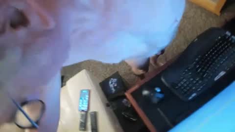 88melter online show from March 13, 4:16 am