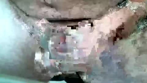 93jimbob online show from January 31, 7:33 pm