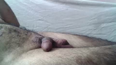 Massive hungry cock online show from June 30, 3:50 am
