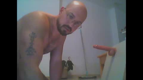 furby online show from March 6, 6:51 pm