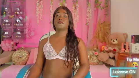 Sammy online show from November 10, 3:15 pm