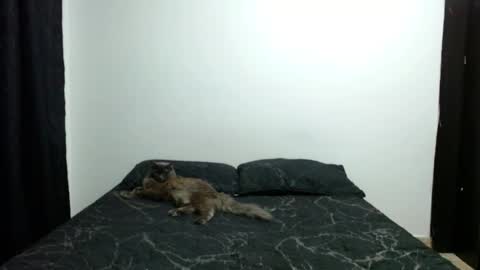 Sofia Parker online show from November 2, 7:19 am