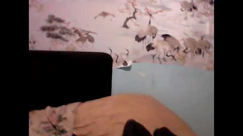 _sollar777 online show from January 7, 1:06 am