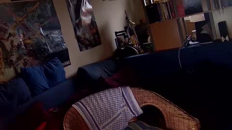 Sven online show from December 5, 1:20 pm