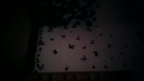 abby_moss_2 online show from July 17, 12:51 pm