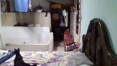 Abby online show from January 26, 11:50 pm