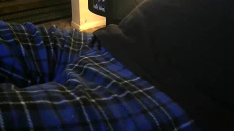 abigspermdonor online show from November 18, 2:36 am