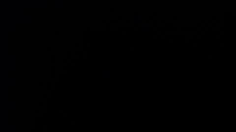 adalya_x online show from November 25, 12:59 pm