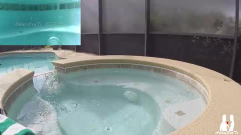 Adam And Eve online show from November 29, 5:53 pm