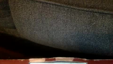 horny kinky daddy online show from February 3, 6:40 am