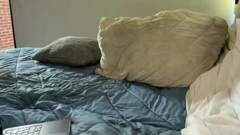 adolfofo online show from April 3, 8:16 pm