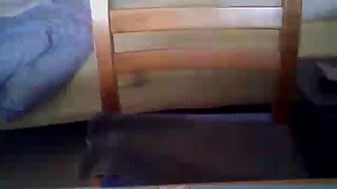 Ole online show from July 22, 5:42 am