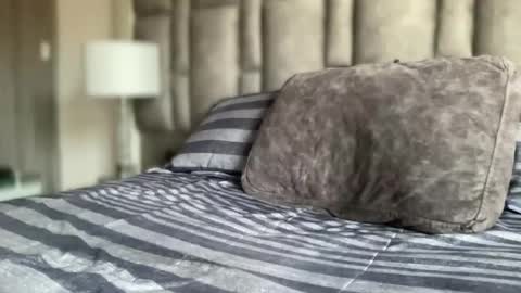 alexander grey online show from November 28, 1:07 pm