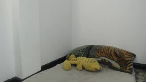 Alicia Aldara online show from March 1, 7:40 pm