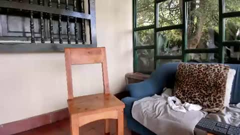 alicemrtnzz online show from July 28, 3:32 pm
