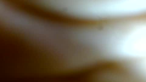 allison___taylor online show from June 13, 5:29 am