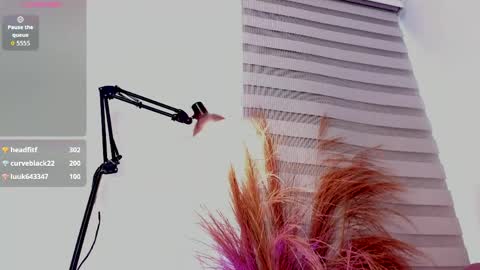 Allison online show from April 30, 5:40 pm