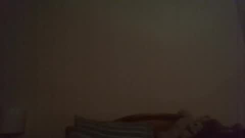 ally12334 online show from November 23, 12:41 am