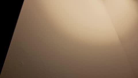 ALMMA online show from November 28, 2:24 pm