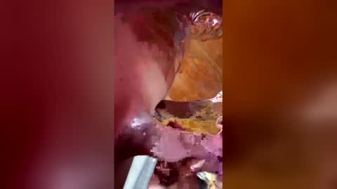 alpacamike online show from March 17, 2:11 pm