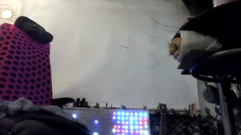 HoneyMelonGuy online show from July 2, 1:47 am