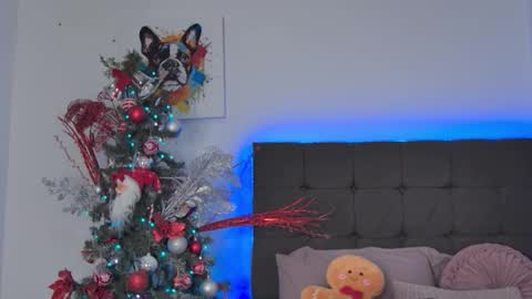 Amanda online show from December 14, 5:08 pm