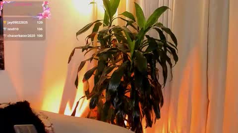 Amatista online show from October 13, 1:29 am