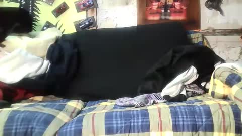 amendolaa536 online show from December 15, 2:46 pm