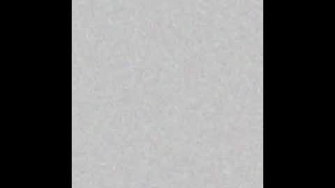 Ammy  online show from November 11, 2:36 am