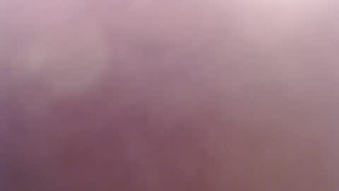 miss unforgettable online show from March 1, 4:47 am