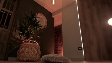 Amy Armstrong online show from February 28, 6:21 am