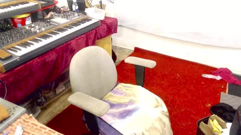 Snapshot of amyattack chatting on September 19, 9:46 am Trashely Gimpson online show from September 19, 9:46 am
