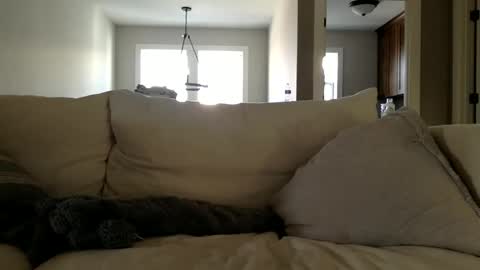 Andees222 online show from December 19, 4:35 pm