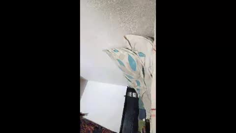 andresvm4796 online show from April 25, 8:05 am