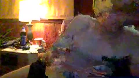 rayray32 online show from January 9, 3:36 am