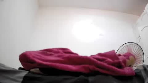 steven online show from February 28, 7:51 pm