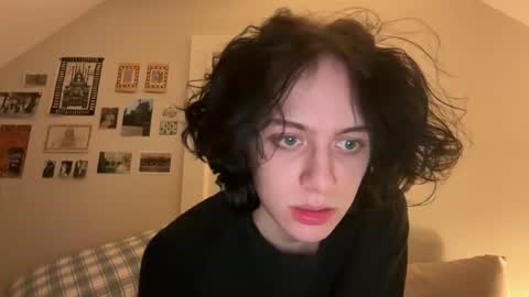 angelfish online show from February 10, 4:30 am