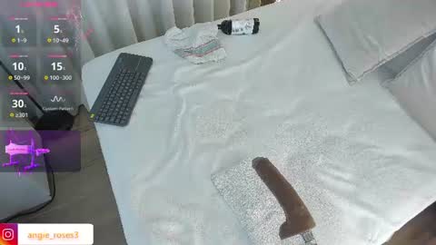 angiee roses online show from June 24, 10:17 pm