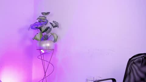   online show from January 19, 8:29 am