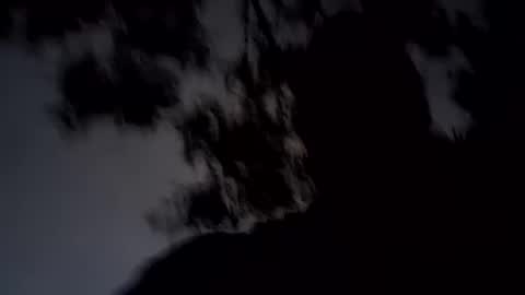 ARCHANGEL MICHAEl online show from January 19, 11:34 am