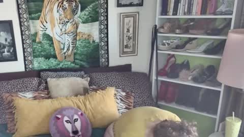 Arielle Ari online show from November 6, 7:28 pm