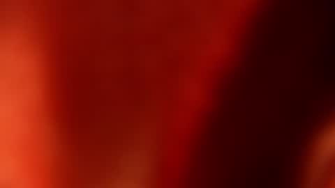 ashley  online show from August 9, 2:32 am