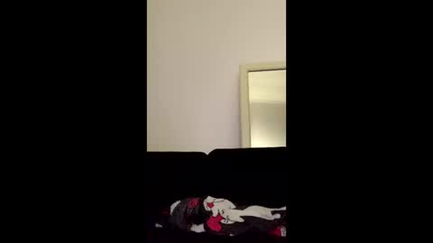 Snapshot of asya_new chatting on October 10, 7:30 pm asya_new online show from October 10, 7:30 pm