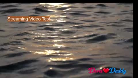 Dora  Daddy online show from April 9, 12:47 am