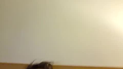 aussie_dadbod6969 online show from May 3, 1:44 am