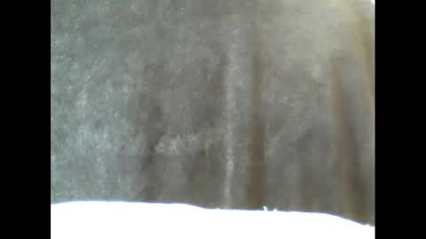 Snapshot of b1gg9inch chatting on February 15, 10:55 am b1gg9inch online show from February 15, 10:55 am